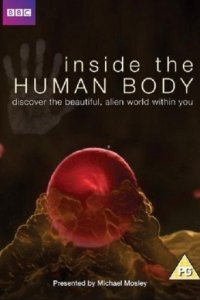 BBC: Внутри человеческого тела